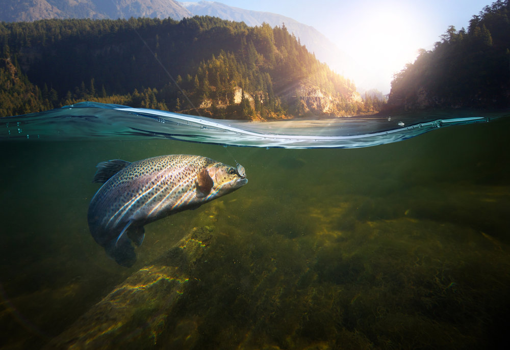 Striper Time with Lake Texoma Fishing Guide