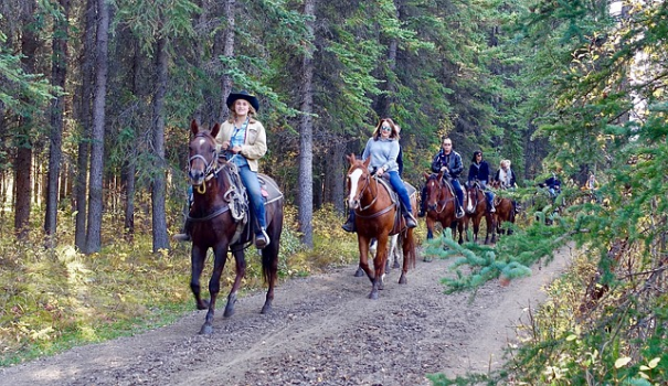 Texas Trail Rides at Lake Texoma