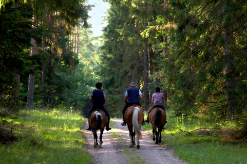 Texas Trail Rides at Tanglewood Resort and Conference Center